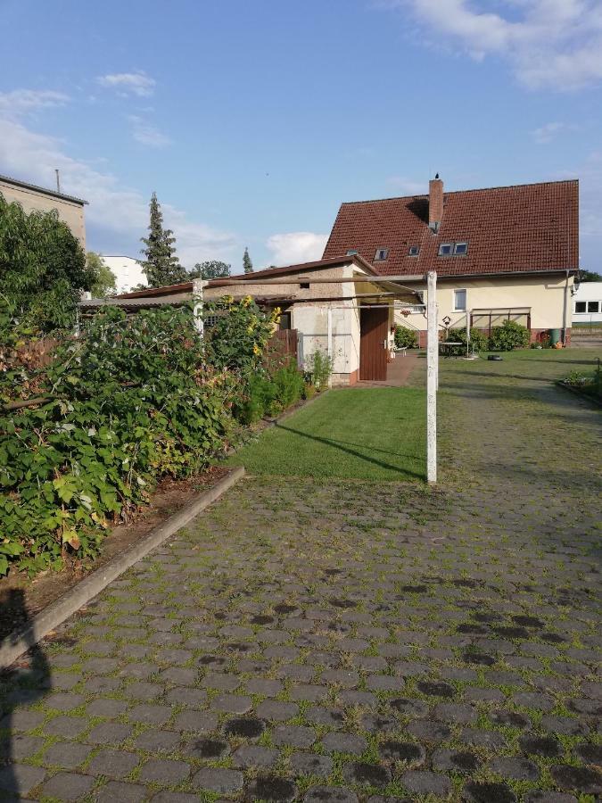 Anjadina * Storkow (Mark)
